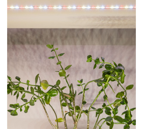 Светодиодная лента Эра FITO-Strip Light-Rа90-3m Б0059881 Светодиодная лента Эра FITO-Strip Light-Rа90-3m Б0059881