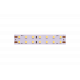 Светодиодная лента DesignLed DSG2196-24-NW-33 000528