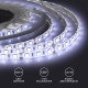 Светодиодная лента Apeyron 12В 14,4Вт/м smd5050 60д/м IP65 700Лм/м 1м 6500К 259BL