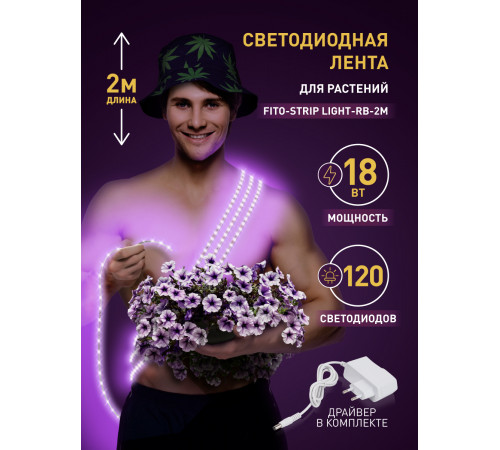 Светодиодная лента для растений Эра 18Вт 1400K 2м IP65 FITO-Strip Light-RB-2m красно-синего спектра Б0057282 Светодиодная лента для растений Эра 18Вт 1400K 2м IP65 FITO-Strip Light-RB-2m красно-синего спектра Б0057282