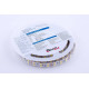 Светодиодная лента DesignLed DSG5120-24-W-33 000522