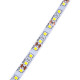 Светодиодная лента ЭРА 4,8W/m 120LED/m 2835SMD белый 5M LS2835-120LED-IP20-W-eco-5m Б0035595
