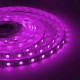Светодиодная лента Apeyron 12В СТ 7,2Вт/м smd5050 30д/м IP20 5м RGB 00-38