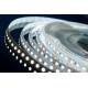 Светодиодная лента DesignLed DSG3120-12-W-33 000525
