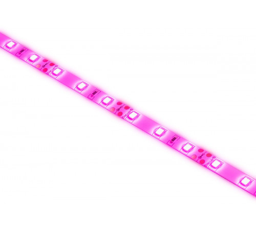 Светодиодная лента для растений Эра 18Вт 1400K 2м IP65 FITO-Strip Light-RB-2m красно-синего спектра Б0057282 Светодиодная лента для растений Эра 18Вт 1400K 2м IP65 FITO-Strip Light-RB-2m красно-синего спектра Б0057282