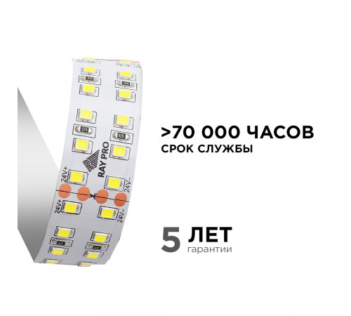 Светодиодная лента Apeyron 24В ПРО 42Вт/м smd2835 240д/м IP20 4200Лм/м 5м 4000К 00-316 Светодиодная лента Apeyron 24В ПРО 42Вт/м smd2835 240д/м IP20 4200Лм/м 5м 4000К 00-316