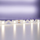 Светодиодная лента Maytoni Led Strip 24В 5050 12Вт/м 4000K 5м IP20 20045