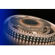 Светодиодная лента DesignLed DSG5120-24-WW-33 000523