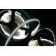 Светодиодная лента SWG SWG4240-12-24-W-M 009255