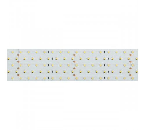 Светодиодная лента Arlight RT-A350-58mm 24V White6000 (36 W/m, IP20, 2835, 2.5m) 019082(2) Светодиодная лента Arlight RT-A350-58mm 24V White6000 (36 W/m, IP20, 2835, 2.5m) 019082(2)
