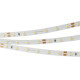 Светодиодная лента Arlight RT-A60-8mm 24V Warm3000 (4.8 W/m, IP20, 2835, 50m) 024584(2)