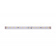 Светодиодная лента DesignLed DSG298-24-NW-33 000526