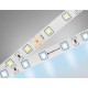 Светодиодная лента Ambrella Light LED Strip 24В 2835 6Вт/м 6500K 5м IP20 GS3003