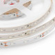 Светодиодная лента Apeyron 12В СТ 4,8Вт/м smd3528, 60д/м IP20 5м красная 00-35