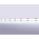 Светодиодная лента Ambrella Light LED Strip 12В COB 10Вт/м 6500K 5м IP20 GS2603