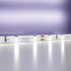 Светодиодная лента Maytoni Led Strip 12В 2835 4,8Вт/м 6000K 5м IP20 20009