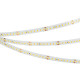 Светодиодная лента Arlight RT-A144-10mm 24V Warm2700 7.7 W/m, IP20, 2835, 5m 038781