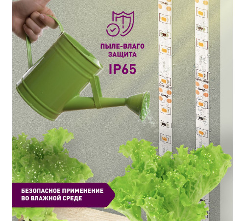 Светодиодная лента для растений Эра 18Вт 1400K 2м IP65 FITO-Strip Light-RB-2m красно-синего спектра Б0057282 Светодиодная лента для растений Эра 18Вт 1400K 2м IP65 FITO-Strip Light-RB-2m красно-синего спектра Б0057282