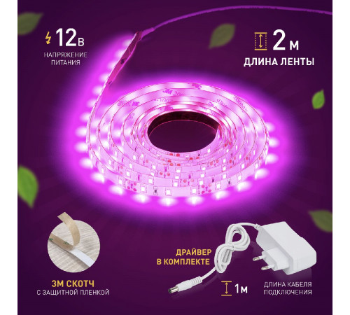 Светодиодная лента для растений Эра 18Вт 1400K 2м IP65 FITO-Strip Light-RB-2m красно-синего спектра Б0057282 Светодиодная лента для растений Эра 18Вт 1400K 2м IP65 FITO-Strip Light-RB-2m красно-синего спектра Б0057282