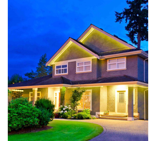 Светодиодная лента Apeyron 12В СТ 4,8Вт/м smd3528, 60д/м IP65 280Лм/м 5м 3000К 00-09