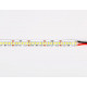 Светодиодная лента Ambrella Light LED Strip 24В 2835 18Вт/м 3000K 5м IP20 GS3301