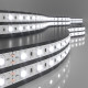 Светодиодная лента Elektrostandard 24V 14,4W 60Led 5050 IP20 дневной белый, 5м 4690389167669