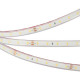 Светодиодная лента герметичная Arlight RTW-PFS-A60-11mm 24V Red (4.8 W/m, IP68, 2835, 5m) 034182