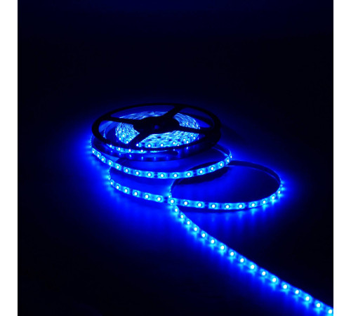Светодиодная влагозащищенная лента Gauss 4,8W/m 60LED/m 2835SMD синий 5M 311000505