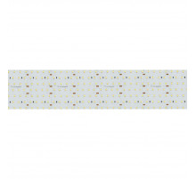 Светодиодная лента Arlight S2-A560-85mm 24V Warm3000 (40 W/m, IP20, 2835, 2.5m) 021211(2)