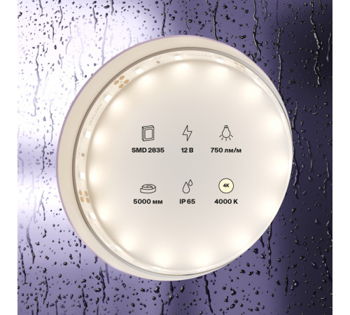 Светодиодная лента Maytoni Led Strip 12В 2835 7,2Вт/м 4000K 5м IP20 20005 Светодиодная лента Maytoni Led Strip 12В 2835 7,2Вт/м 4000K 5м IP20 20005