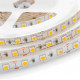 Светодиодная лента Apeyron 24В ПРО 14,4Вт/м smd5050 60д/м IP20 1100Лм/м 5м 3000К 00-308