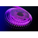 Светодиодная лента DesignLed DSG5120-24-RGB+W-33 000514
