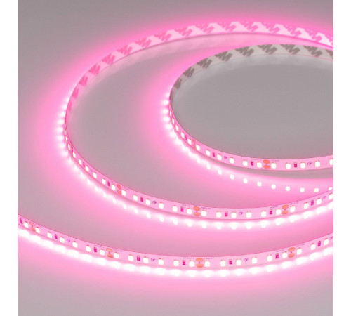 Светодиодная лента Arlight RT-A120-8mm 24V Pink (9.6 W/m, IP20, 2835, 5m) 043380 Светодиодная лента Arlight RT-A120-8mm 24V Pink (9.6 W/m, IP20, 2835, 5m) 043380