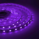 Светодиодная лента Apeyron 12В СТ 7,2Вт/м smd5050 30д/м IP20 5м RGB 00-38