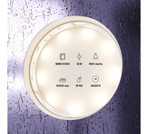 Светодиодная лента Maytoni Technical 12В 5050 7,2Вт/м 4000K IP65 10124 Светодиодная лента Maytoni Technical 12В 5050 7,2Вт/м 4000K IP65 10124
