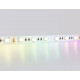 Светодиодная лента Ambrella Light Illumination 24В 5050 10Вт/м RGBW+4500K 5м IP20 GS4402