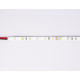 Светодиодная лента Ambrella Light LED Strip 24В 2835 6Вт/м 6500K 5м IP20 GS3003