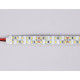 Светодиодная лента двухрядная Ambrella Light LED Strip 24В 2835 24Вт/м 3000K 5м IP20 GS3701