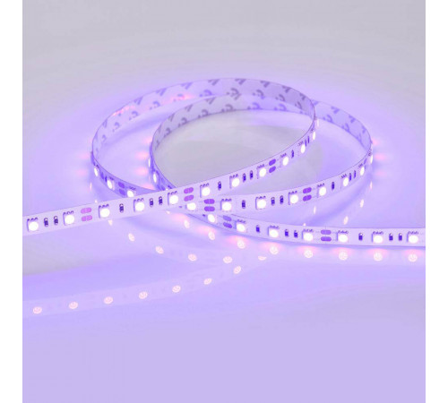 Светодиодная лента Arlight RT 2-5000 12V Blue 2x (5060, 300 LED, LUX) 012336