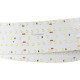 Светодиодная лента Arlight S2-A420-59mm 24V Warm3000 (30 W/m, IP20, 2835, 2.5m) 021208(2)