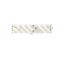 Светодиодная лента SWG SWG2P252-24-24-NW-20 005077