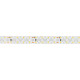 Светодиодная лента Arlight RZ-A160-15mm 24V Day4000 (19.2 W/m, IP20, 2835, 5m) 036015