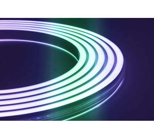Светодиодная лента SWG PRO NE-DU560-24-10-WS2811RGB-67 032799 Светодиодная лента SWG PRO NE-DU560-24-10-WS2811RGB-67 032799
