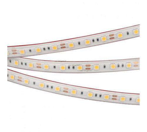 Светодиодная лента Arlight RTW 2-5000PS 12V White6000 2x (5060, 300 LED, LUX) 022323 Светодиодная лента Arlight RTW 2-5000PS 12V White6000 2x (5060, 300 LED, LUX) 022323