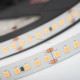 Светодиодная лента Arlight RT 2-5000 24V White6000 3x (2835, 840 LED, LUX) 019093(B)