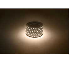Светодиодная лента Эра 12В 2835 9,6Вт/м 3000K 5м IP20 LS2835-120LED-IP20-WW Б0035596