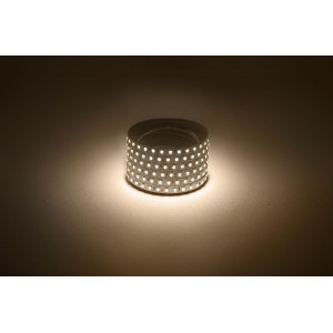 Светодиодная лента Эра 12В 2835 9,6Вт/м 3000K 5м IP20 LS2835-120LED-IP20-WW Б0035596