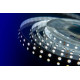 Светодиодная лента DesignLed DSG560-24-W-33 000520