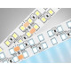Светодиодная лента двухрядная Ambrella Light LED Strip 24В 2835 24Вт/м 6500K 5м IP20 GS3703