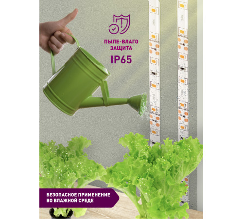 Светодиодная лента для растений Эра 18Вт 1400K 2м IP65 FITO-Strip Light-RB-2m красно-синего спектра Б0057282 Светодиодная лента для растений Эра 18Вт 1400K 2м IP65 FITO-Strip Light-RB-2m красно-синего спектра Б0057282
